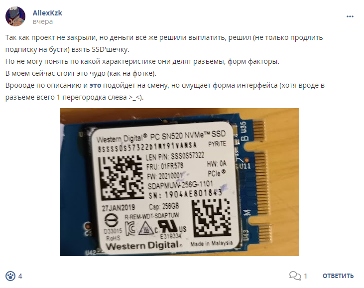 Кострище дайджест 2023 19.11 - 25.11