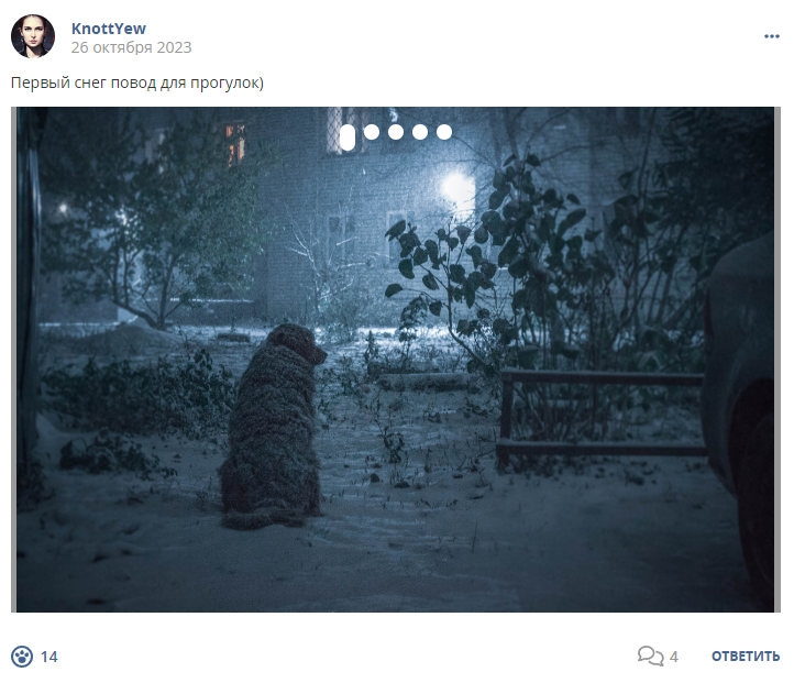 Кострище дайджест 2023 22.10 - 28.10