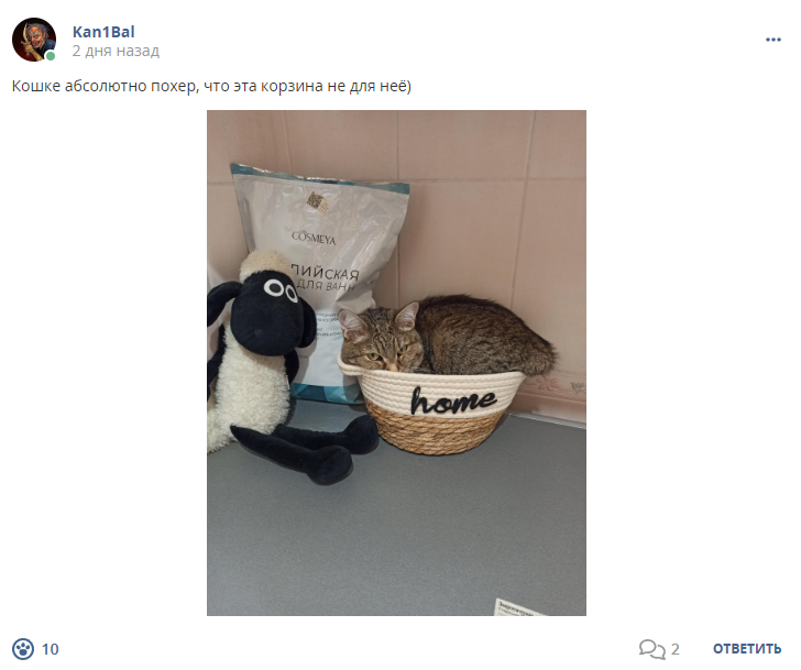 Кострище дайджест 2023 01.10 - 07.10