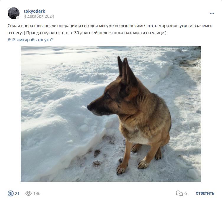 Кострище дайджест 2024 01.12 - 07.12