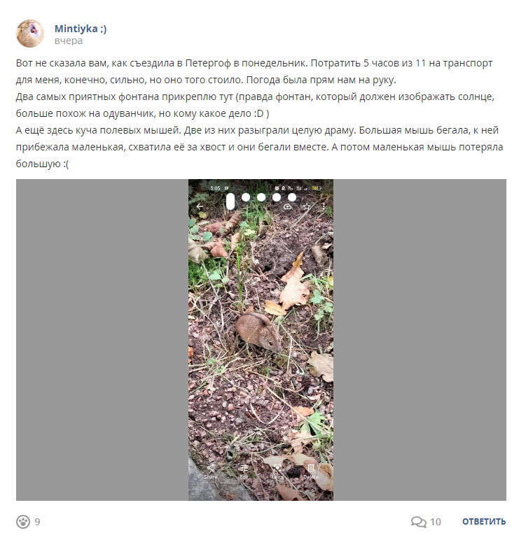 Кострище дайджест 2022 11.09 - 17.09