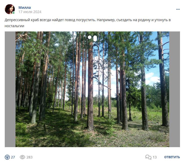 Кострище дайджест 2024 14.07 - 20.07