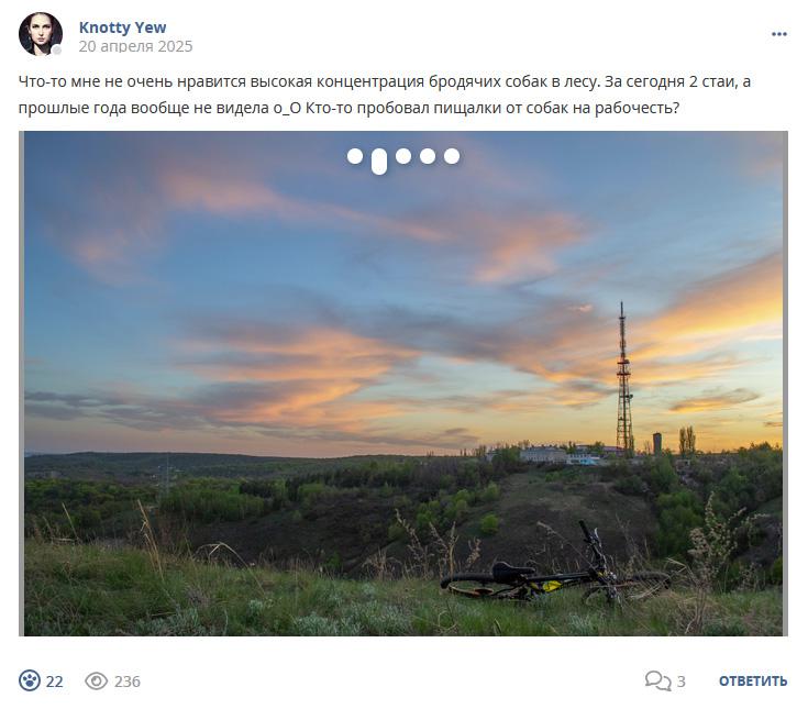 Кострище дайджест 2025 20.04 - 26.04
