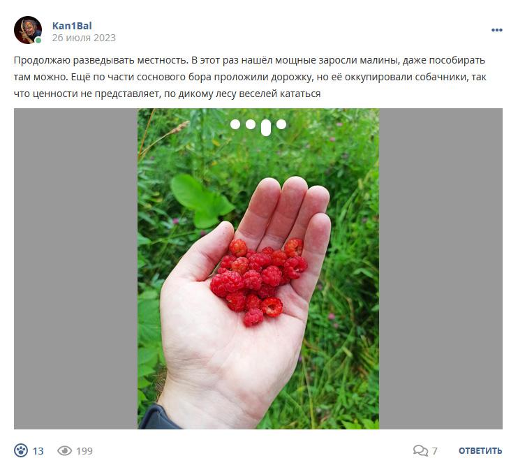 Кострище дайджест 2023 23.07 - 29.07