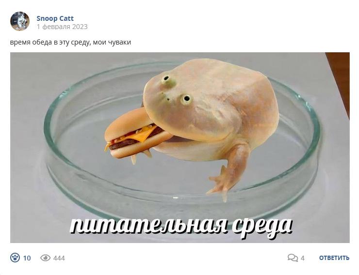 Кострище дайджест 2023 29.01 - 04.01