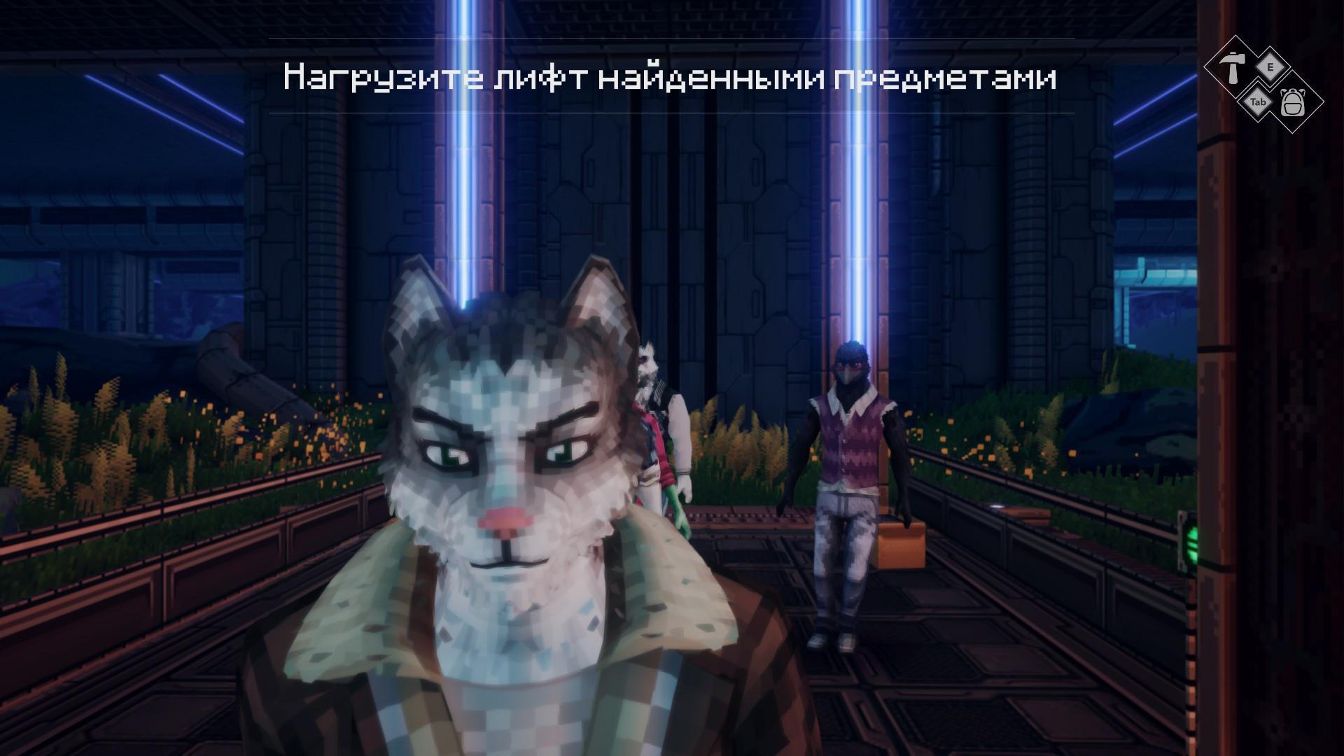 ККигроплей#5