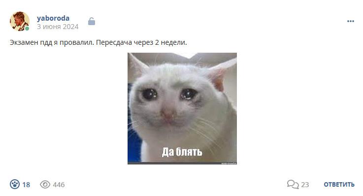 Кострище дайджест 2024 02.06 - 08.06