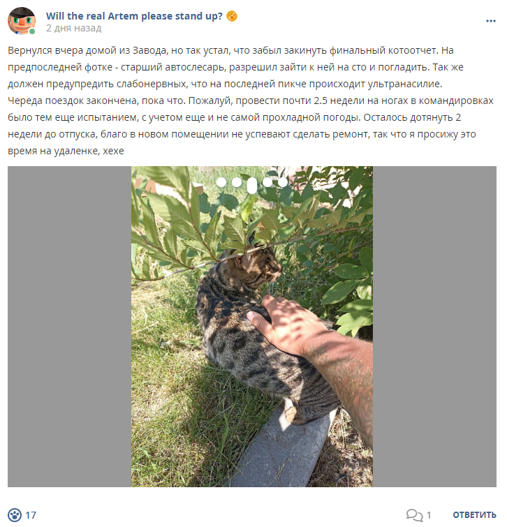 Кострище дайджест 2024 30.06 - 06.07