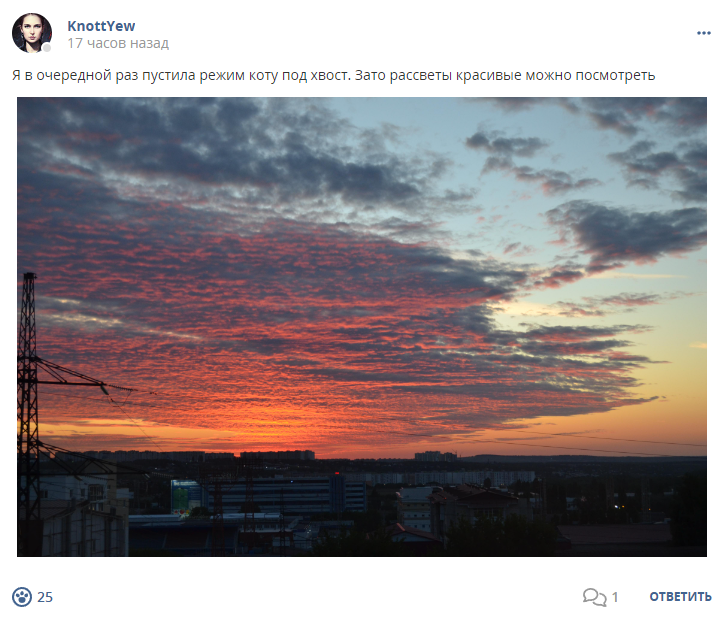 Кострище дайджест 2024 23.06 - 29.06