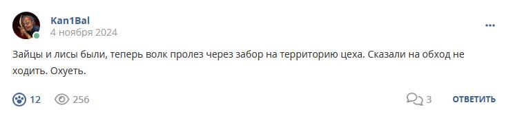Кострище дайджест 2024 03.11 - 09.11