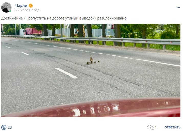 Кострище дайджест 2024 16.06 - 22.06