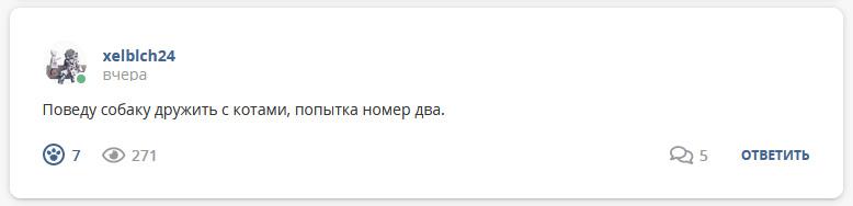 Кострище дайджест 2022 27.11 - 03.12