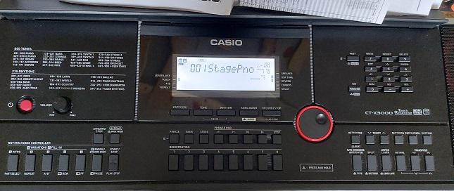 Записки мамкиного музыканта. Обзер синтезатора Casio CT-X 3000.
