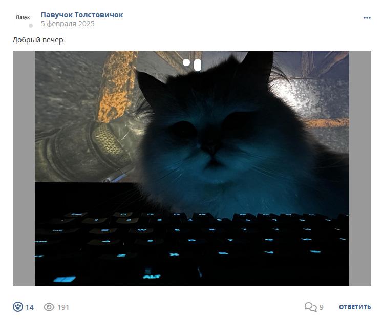 Кострище дайджест 2025 02.02 - 08.02