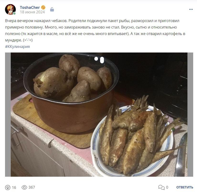 Кострище дайджест 2024 16.06 - 22.06