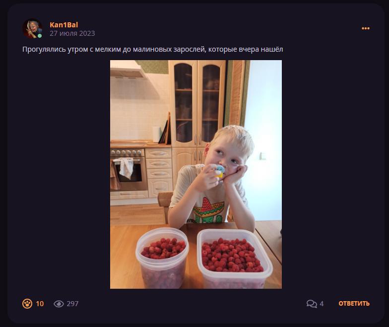 Кострище дайджест 2023 23.07 - 29.07