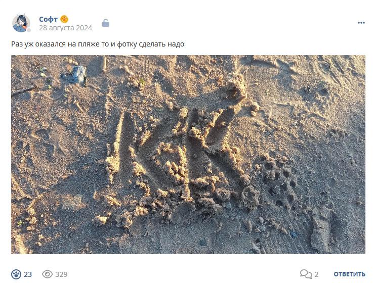 Кострище дайджест 2024 25.08 - 31.08