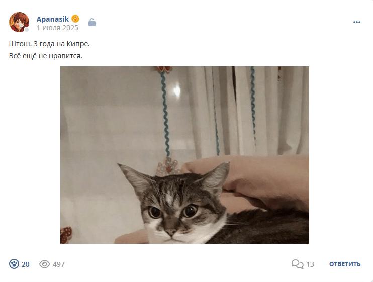 Кострище дайджест 2025 29.06 - 05.07