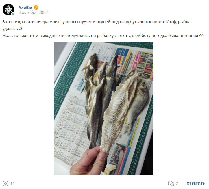 Кострище дайджест 2022 2.10-8.10