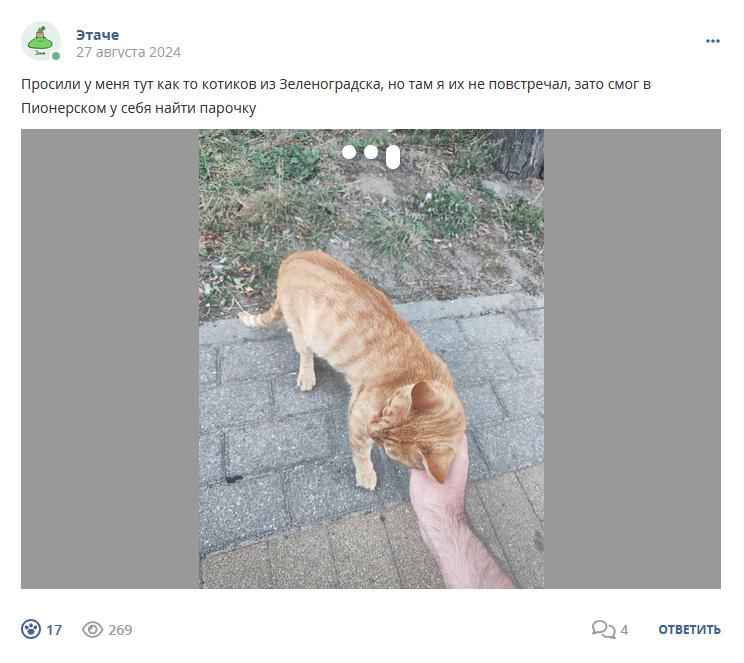 Кострище дайджест 2024 25.08 - 31.08