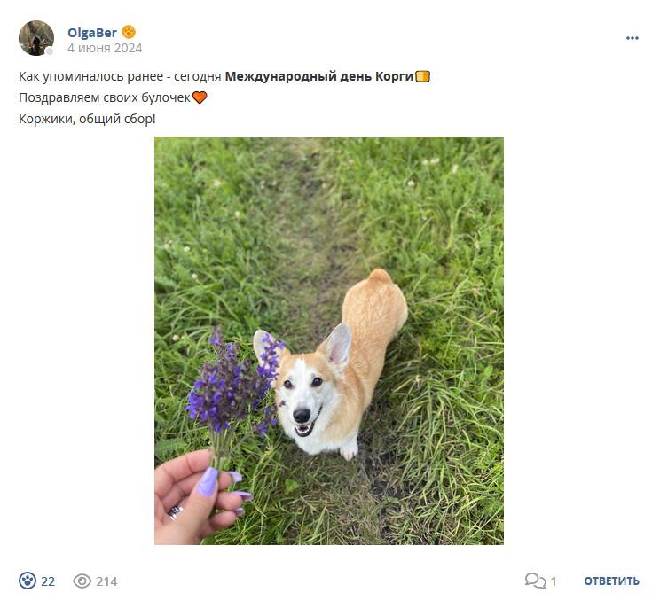 Кострище дайджест 2024 02.06 - 08.06