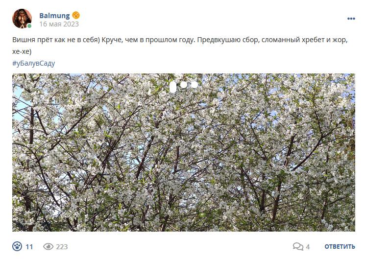 Кострище дайджест 2023 14.05 - 20.05