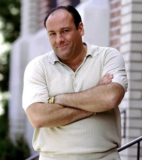 The Sopranos: The road to respect. Игра, которая предала честь семьи.