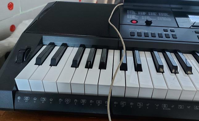 Записки мамкиного музыканта. Обзер синтезатора Casio CT-X 3000.