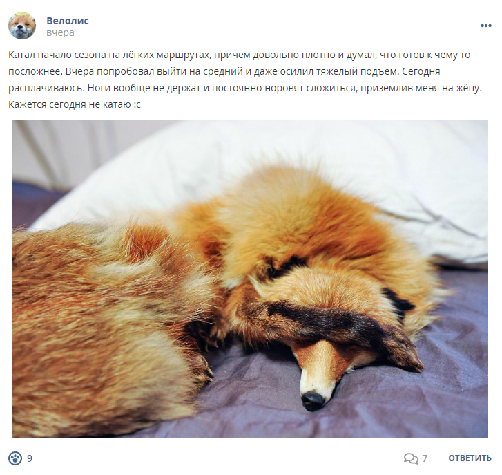Кострище дайджест 2023 28.05 - 03.06