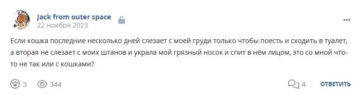 Кострище дайджест 2023 19.11 - 25.11