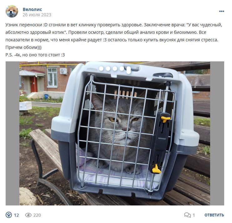 Кострище дайджест 2023 23.07 - 29.07