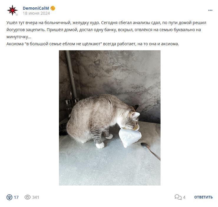 Кострище дайджест 2024 16.06 - 22.06