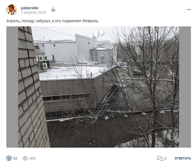 Кострище дайджест 2025 06.04 - 12.04
