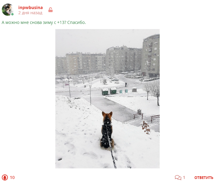 Кострище дайджест 2023 15.01 - 21.01