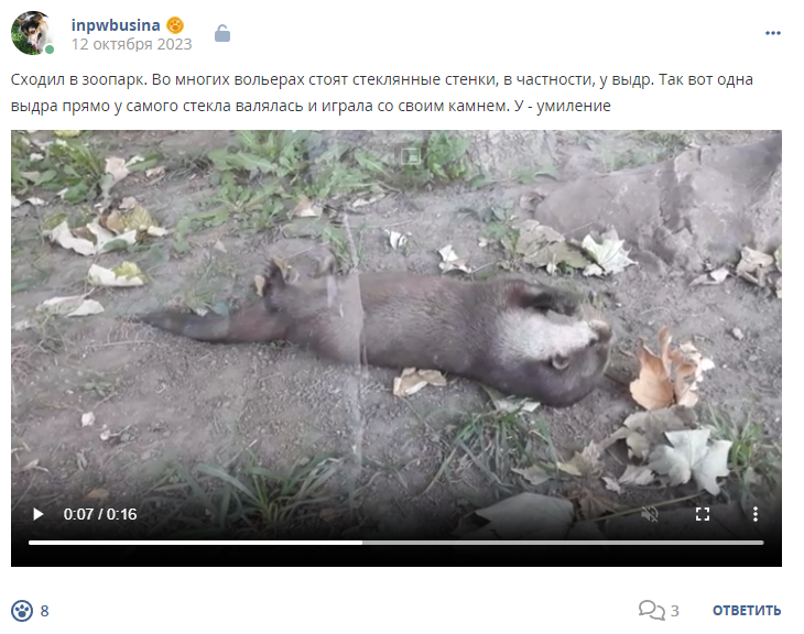 Кострище дайджест 2023 08.10 - 14.10