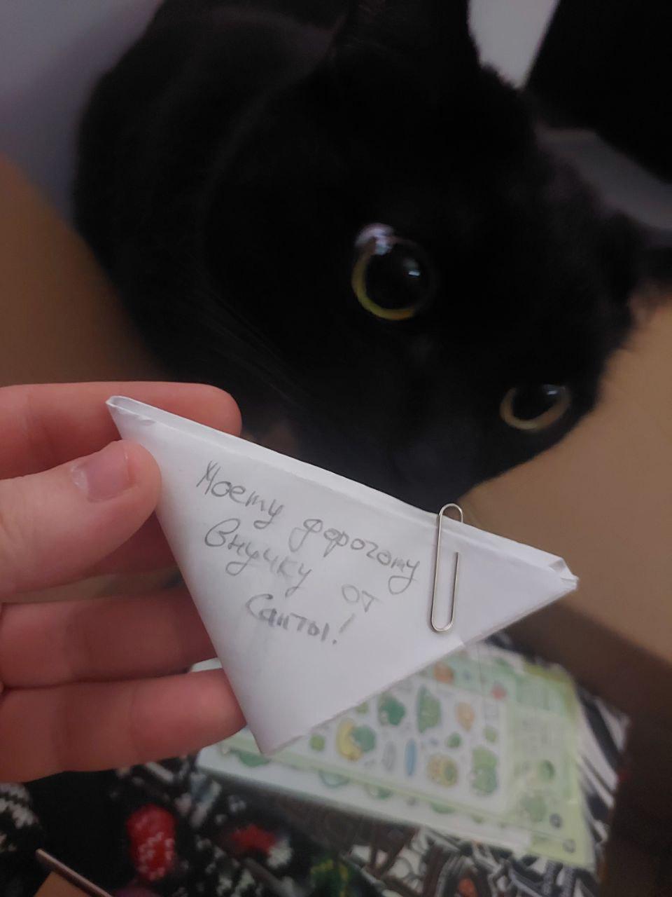 ...с кошачьей мятой????