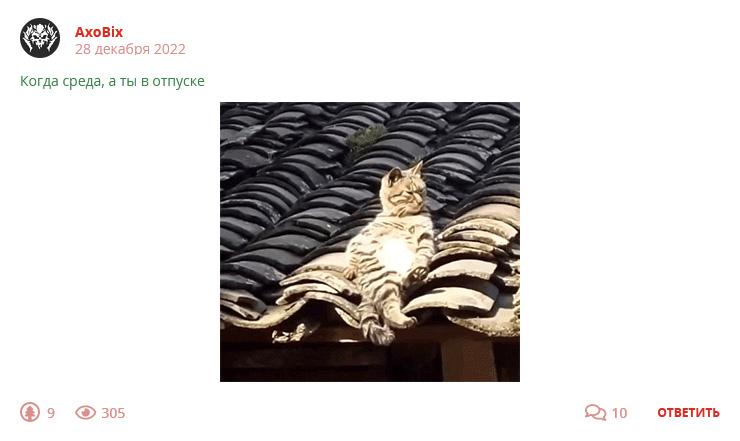 Кострище дайджест 2022 25.12 - 31.12