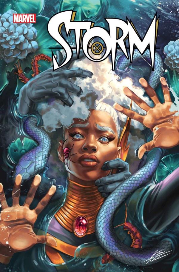 Обложка 2-го выпуска Storm от Мэтью Манханини