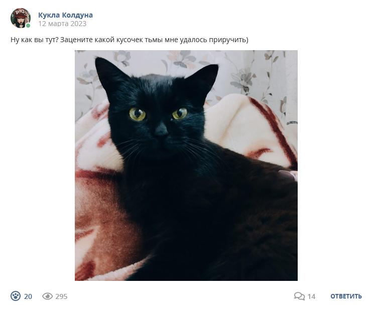 Кострище дайджест 2023 12.03 - 18.03