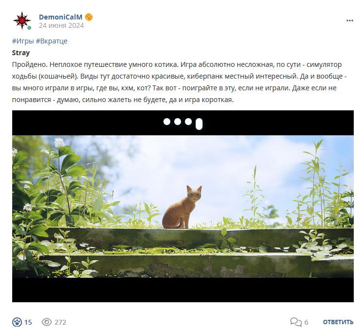 Кострище дайджест 2024 23.06 - 29.06