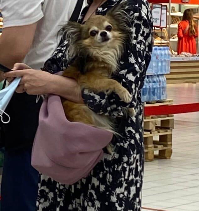 Не ежедневный недайджест 43