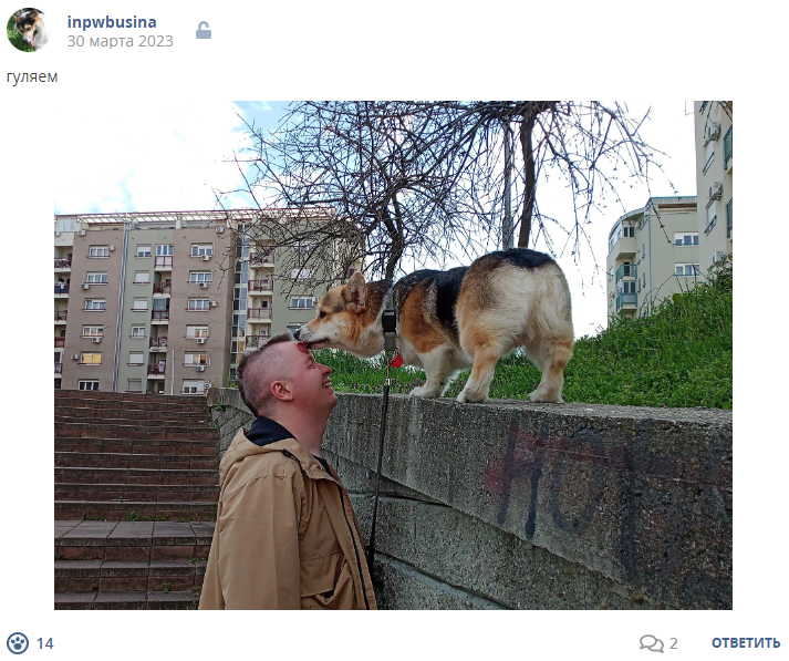 Кострище дайджест 2023 26.03 - 01.04