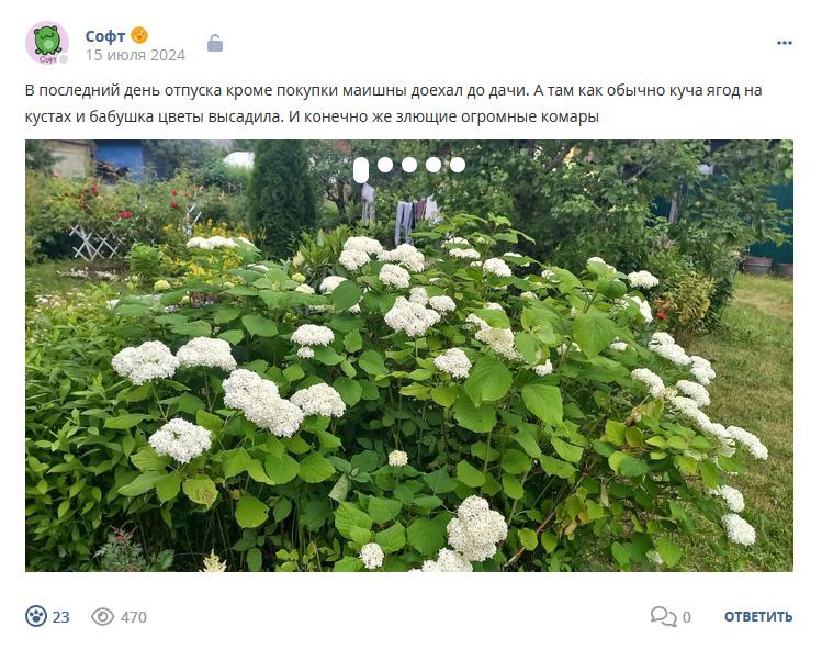 Кострище дайджест 2024 14.07 - 20.07