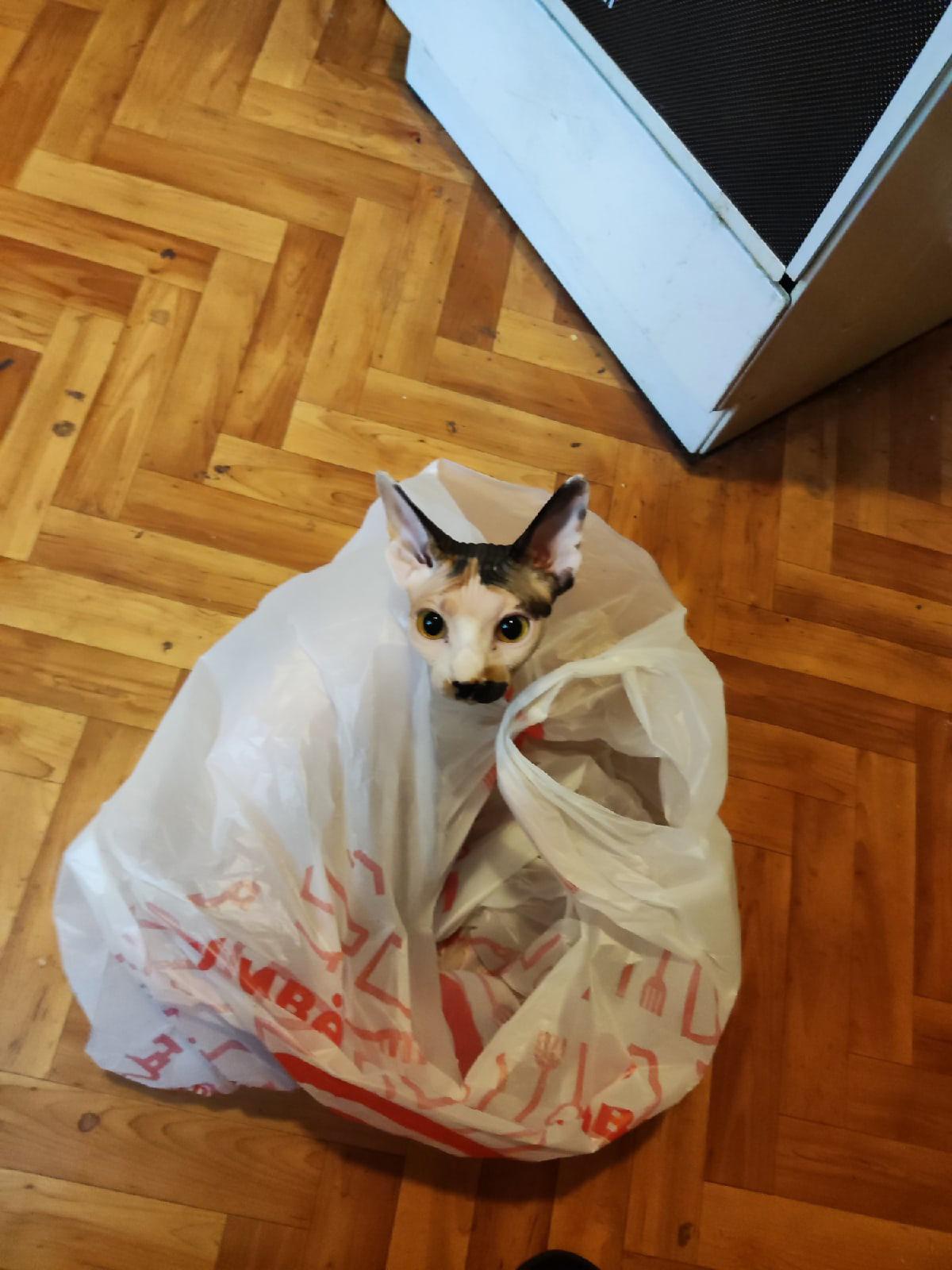 Не ежедневный недайджест 43
