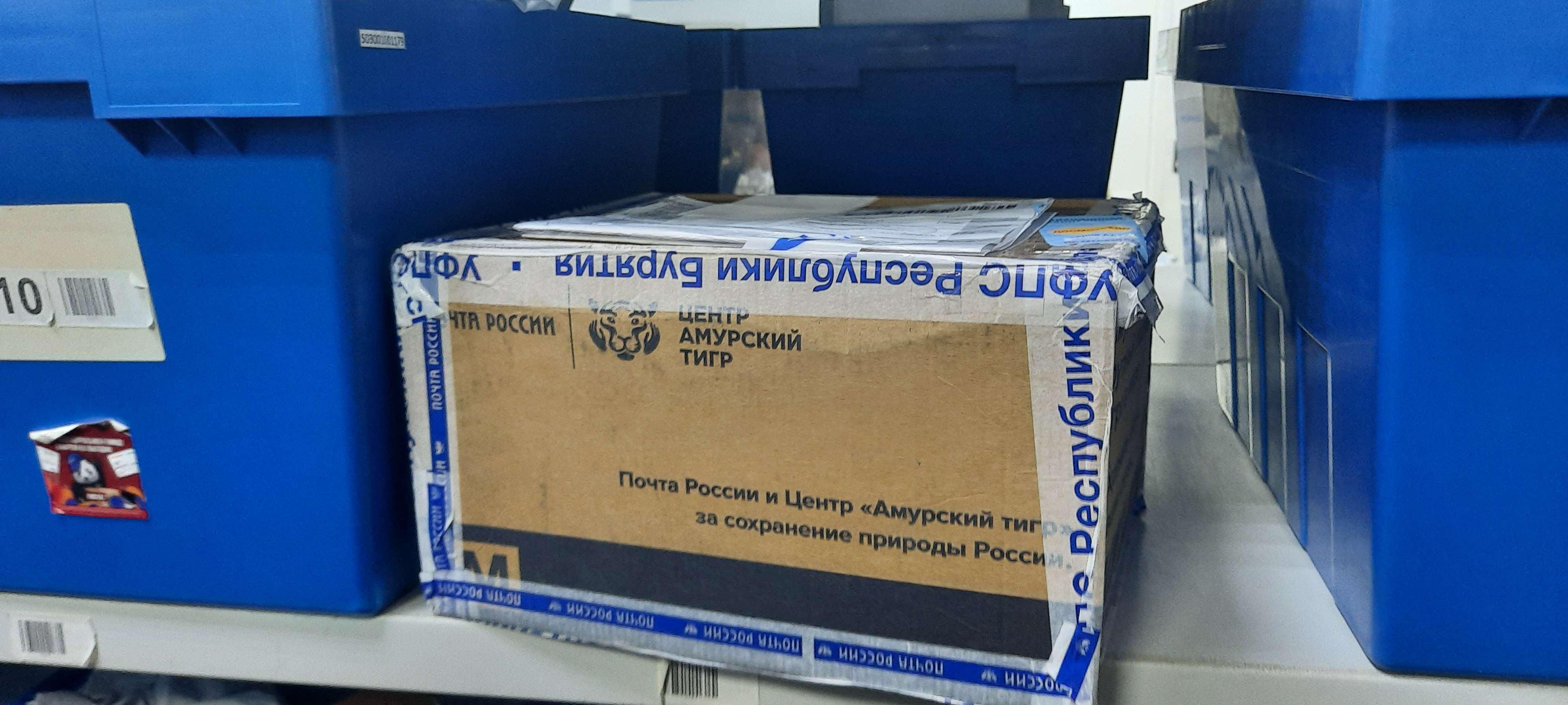 Люблю больших