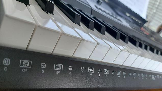 Записки мамкиного музыканта. Обзер синтезатора Casio CT-X 3000.