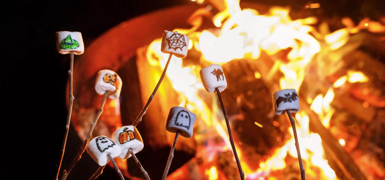 Кострище дайджест 2025 26.10 - 01.11