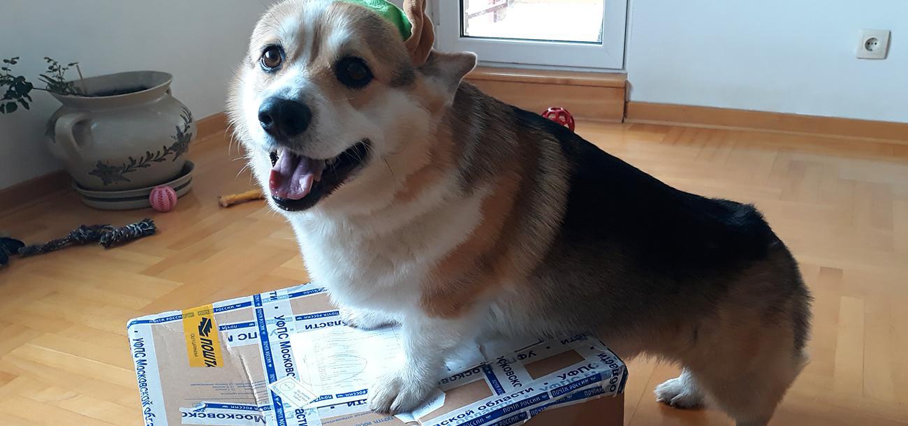 Мой Тайный Санта 2025